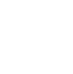 Mattel